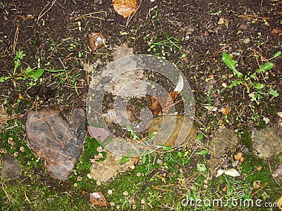 Background. fragment. texture. the old road is paved with wild stone, cobblestones. landscape design, natural style. Stock Photo