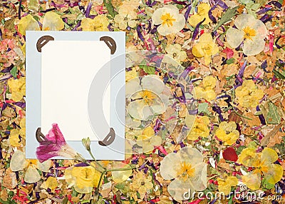 Background of fragments of broken flowers and leaves. Scrapbooking element consists mosaic of flowers, petals and frames, corners Stock Photo