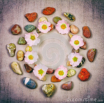 Background frame circle made of colorful sea and river stones and rose hip flowers Stock Photo