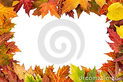 Background frame isolated colorful autumn leaves wedding party i Stock Photo