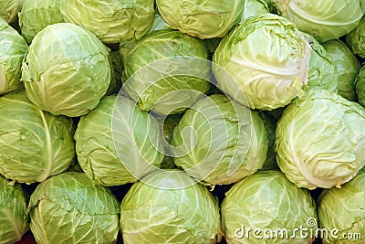 Cabbages Stock Photo