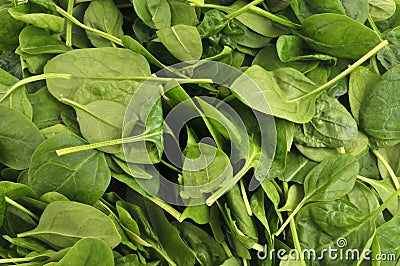 Background of fresh french spinach leaves Stock Photo