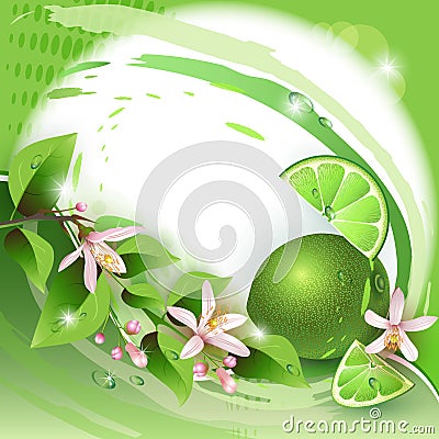 Background with fresh lime Vector Illustration