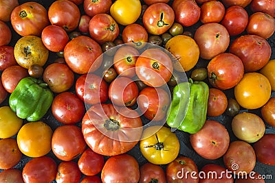 Background of fresh red, yellow tomatos Stock Photo