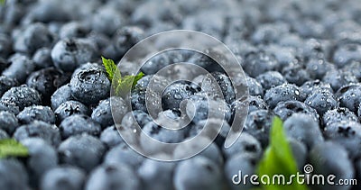 Background with fresh ripe juicy blueberries closeup photo Stock Photo