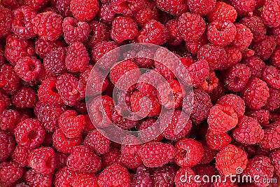 Background of fresh and sweet ripe raspberries Stock Photo