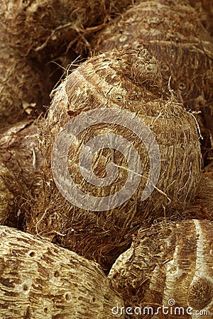 Background of fresh taro root(colocasia) Stock Photo