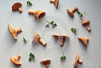 Background of freshly picked redheads with sprigs of parsley on the kitchen table, top view, close-up Stock Photo