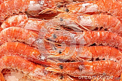 Background of frozen cooked tiger shrimps from above Stock Photo