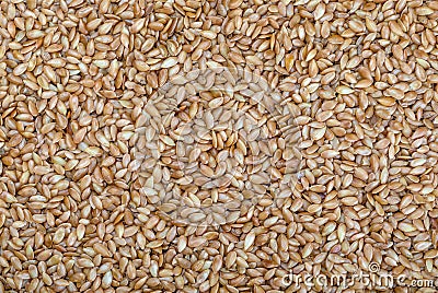 Golden flax seeds. Micronutrient beneficial for the organism that prevents and cures ailments. Stock Photo