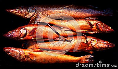 Background of golden smoke dried fish. Fishing Stock Photo