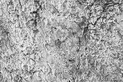 Background gray concrete wall, similar to the surface of the planet view from space. roughness, and scratches Stock Photo