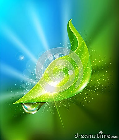 Background of green leaf and a drop of dew Vector Illustration