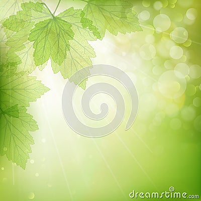 Background of green leaves. EPS 10 Vector Illustration