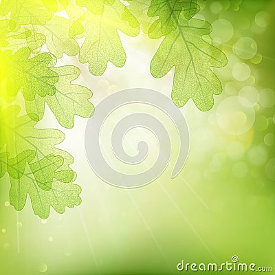 Background of green leaves. EPS 10 Vector Illustration