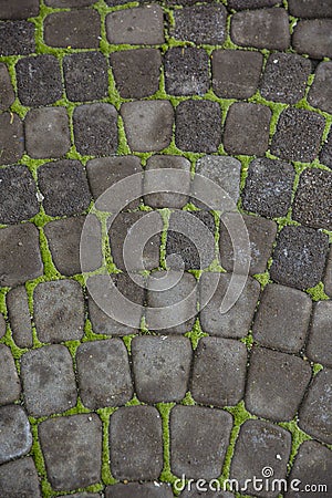 Grey paving stones. Pavement cobbled Greypaving Stock Photo