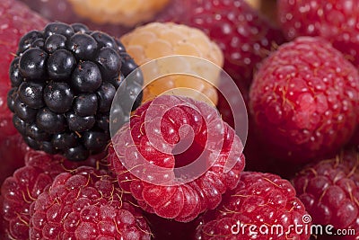 Background of group of colorful raspberries macro Stock Photo