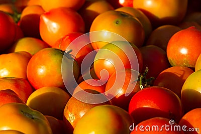 Background of groups of mature tomato market Stock Photo