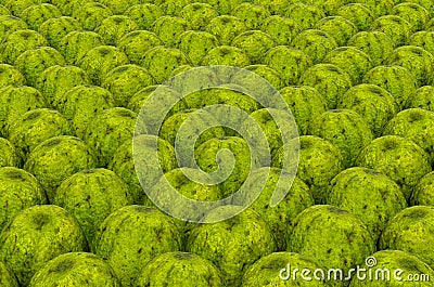 Background from guavas with realistic texture, 3D rendering Stock Photo