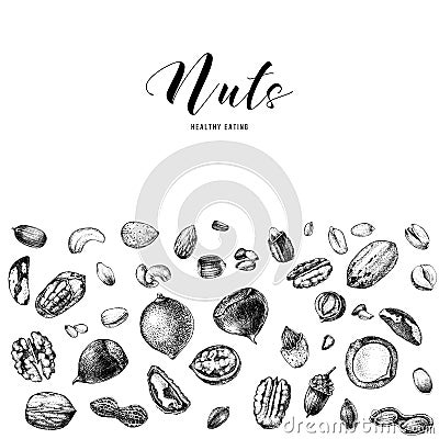 Background with hand drawn edible nuts Vector Illustration