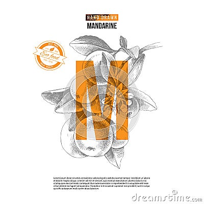 Background with hand drawn mandarin branch Vector Illustration