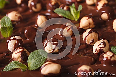 Background of hazelnut and chocolate macro. Horizontal Stock Photo