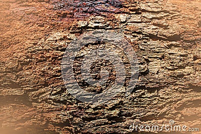 Background image of cut logs Stock Photo
