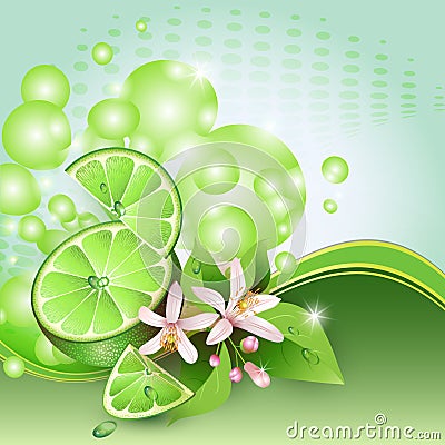 Background with juicy slices of lime fruit Vector Illustration