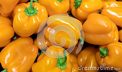 A background of a large number of large pods of sweet orange pepper Capsicum annuum Stock Photo