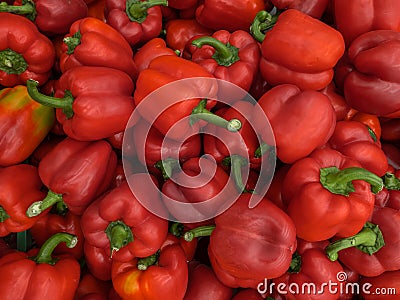 A background of a large number of large pods of sweet red pepper Capsicum annuum. Stock Photo