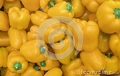 A background of a large number of large pods of sweet yellow pepper Capsicum annuum. Stock Photo