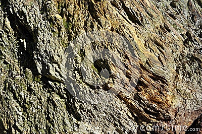 Background of a layered metamorphic rock Stock Photo
