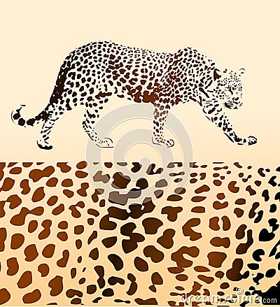 Background from leopard Vector Illustration