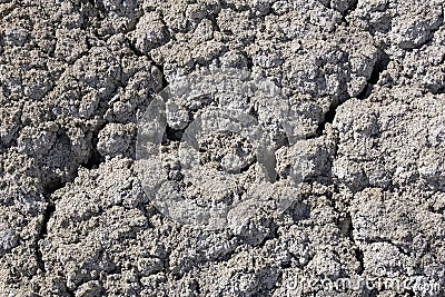 Background - lifeless saline soil Stock Photo