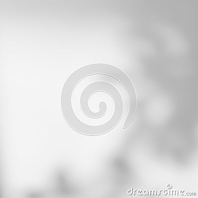 Background light abstract shadow background Stock Photo