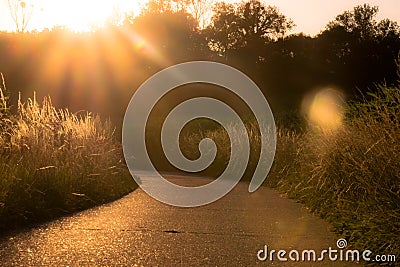 Background lights streets straat zonlicht Stock Photo