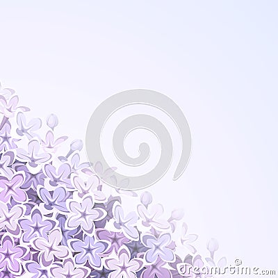 Background with lilac flowers. Vector eps-10. Vector Illustration