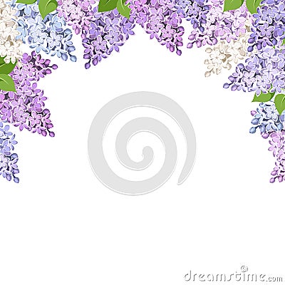 Background with lilac flowers. Vector illustration. Vector Illustration