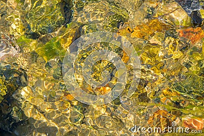 Limpid stream Stock Photo