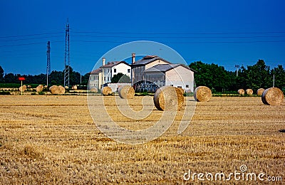 Background. lowland landscape with farm. field with bales of harvested hay. Stock Photo