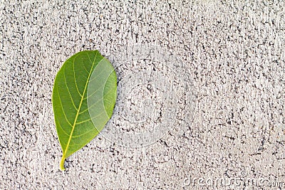 Background cement floor texture Stock Photo