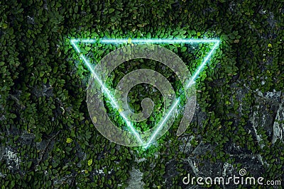 Background made of ivy leaves on stone wall with neon light triangle. Stock Photo