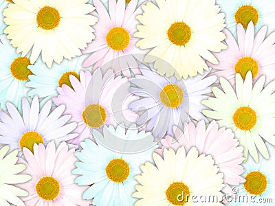 Background of motley flowers Stock Photo