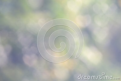 Background Natural valentine green tree soft blurred bokeh nature fresh lighting heart-shaped for valentine and forest herbs wallp Stock Photo