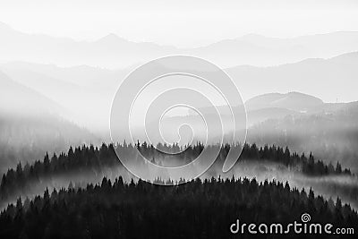 background of nature with trees and mountains silhouette in black and white Stock Photo