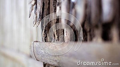 The background of the old jute stick wall destroyed by the Termites Stock Photo