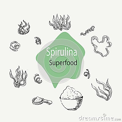 Background outline of spirulina - algae, pills and powder. Vector Illustration