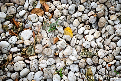 Background of pebble white pebble stones Stock Photo