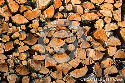 Fire wood Stock Photo