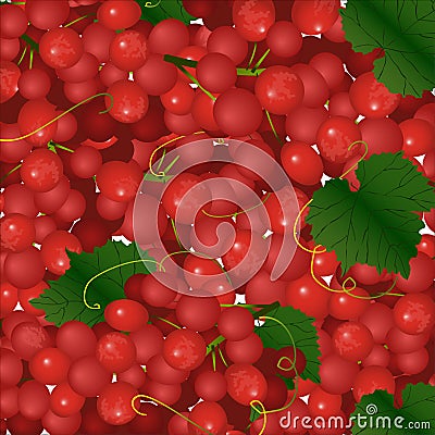 Background of pink bunches of grapes Vector Illustration